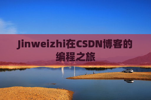 Jinweizhi在CSDN博客的编程之旅